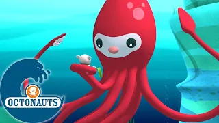 Octonauts - Le Calmar Géant | Dessins animés pour enfants