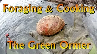 Coastal Foraging & Traditional Recipe How to Cook The Green Ormer  Abalone Part 2