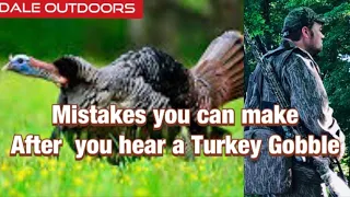 Mistakes you can make after you hear a TURKEY Gobble