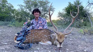 Bowhunting Free Range Axis Deer in Texas!!!