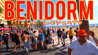 Benidorm Levante BEACH tour⛱️ Spain Costa Blanca November 2022