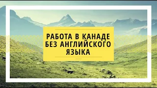 РАБОТА В КАНАДЕ БЕЗ АНГЛИЙСКОГО ЯЗЫКА / КАК НАЙТИ РАБОТУ В КАНАДЕ БЕЗ ЗНАНИЙ АНГЛИЙСКОГО ЯЗЫКА