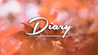 Diary - KARAOKE VERSION - as popularized by Bread