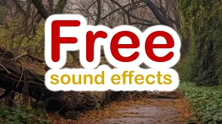 Free footsteps Fallen Tree Trunk sound effect