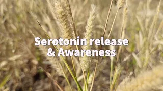 Serotonin release & Awareness (10Hz  Alpha waves, 432Hz Base)