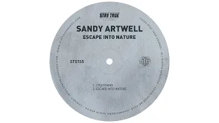 Sandy Artwell - Celestains