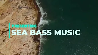 XZEEZ_GÖKAY EKIN_-_ PAKA POKA (BASS BOOSTED MIX)SBM