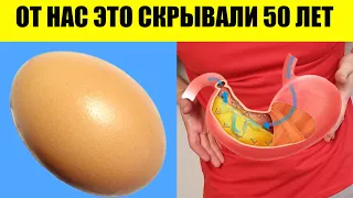 3 ПРОДУКТА, о которых врали 50 ЛЕТ. УЗНАЙ ПОКА НЕ ПОЗДНО