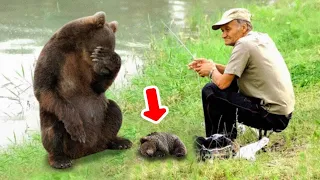 The Mama Bear Brought Her Dying Cub To This Man, And She Praying A Miracle Could Happen...