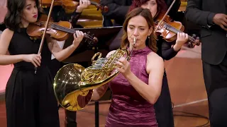 Mozart Horn Concerto No.3 III.Movement - Mozart y Mambo