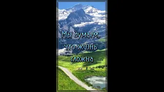 Стих со смыслом. 💯 Жизненная поэзия. 💯 Потрясающий стих. 💯 Мы думаем, что жизнь сложна... #shorts