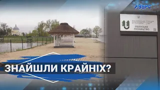 Винні Світязь і Цивільний кодекс: лісівники пояснили чому відгородили пляж