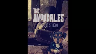 The Avondales - Don't talk to me (GG Allin Cover)