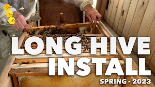 Long Hive Install by a Professional Beekeeper [Late Spring - 2023]