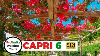 Capri Walking Tour 6 - The Gardens of Augustus and Charterhouse of San Giacomo in 4K