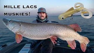 MILLE LACS MUSKIES (2 Fish Day!) The hunt for 30