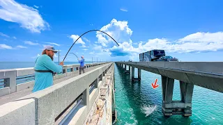 World's BEST Fishing Bridge Was LOADED! **FL Keys**