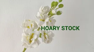 HOARY STOCK FLOWER in Gumpaste or Clay by Marckevinstyle