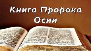 Библия. Книга Пророка Осии. Без музыки.