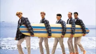 Beach Boys Malibu