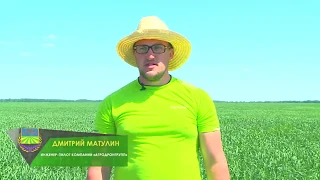 Точное земледелие в НПЦЗХ имени А.И. Бараева