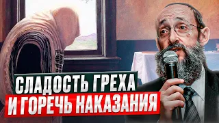 Сладость греха и горечь наказания. Рав Ашер Кушнир