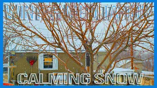 Meditation Music with Calming and Relaxing Backyard Snow Storm