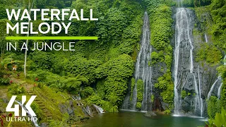 8 HOURS Tropical Birds Sounds for Concentration / Sleep / Work / Study - 4K Jungle Waterfalls