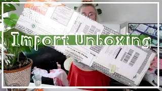 Incredible Import Unboxing! Root Greenhaus Import Review!