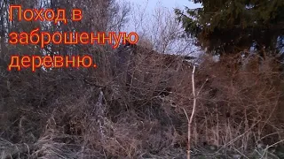 Заброшенная деревня Псковской области.
