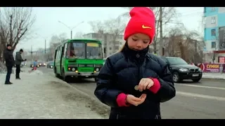 ⁉ Люди ! Ну, вы же не звери. 🐒( автобусное движение в Европе ) 🚌