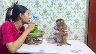 Monkey Boy Waiting To Drink Milk