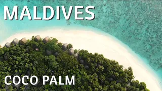 MALDIVES | Coco Palm | the Island