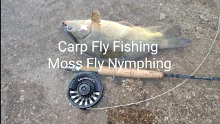 Carp Fly Fishing - Leech Fly & Moss Fly Indicator Nymphing