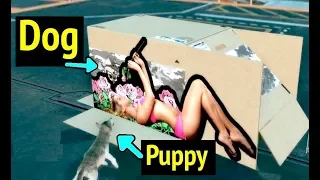 Puppy Reacts to Cardboard Box - Metal Gear Solid V: Phantom Pain (MGS5)
