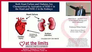 Professor Milton Packer - 'Heart failure – are there limits to anti-diabetic therapy with SGLT2'