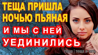 ТЕЩА ПРИШЛА НОЧЬЮ ПЬЯНАЯ И МЫ С НЕЙ УЕДИНИЛИСЬ | Теща и зять Истории из жизни