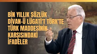 Bin Yıllık Sözlük Divanü Lügati't Türk'te Türk Maddesinin Karşısındaki İfadeler