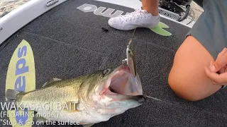 Catch fish when nothing else works!