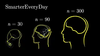 SMARTER EVERY DAY Epicycles Fourier Series Drawing