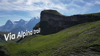 7 DAYS SOLO HIKE | Via Alpina Trail | Stage 10-16 Switzerland