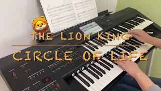 【サークル・オブ・ライフ】CIRCLE OF LIFE / THE LION KING　(ELECTONE)