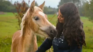 Besuche mein gewonnenes Fohlen zum 1. Mal + ihr NAME