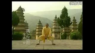 正宗少林易筋經 Authentic Shaolin Change Tendon Classic