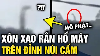 Xôn xao video người dân quay được SINH VẬT BÍ ẨN nghi là RẮN HỔ MÂY trên núi Cấm | Tin 3 Phút