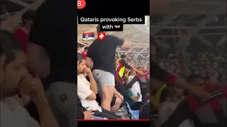 Serbia vs Switzerland fight | Serbia vs Albania | Qataris provoking Serbs #shorts #qatar2022 #fight
