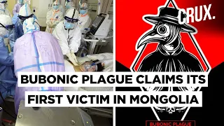 Should The World Prepare Itself To Face the Bubonic Plague After Coronavirus?