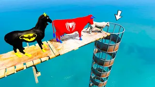 Batman Horse, Cow and Tiger dive into the water through a Pipe