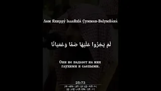 ﷽ | Сура 25   Аят 72-75| 📚 Сура : « Аль-Фуркан » (различение)| 🎙️ Чтец : « Мухьаммад аль-Люхайдан »