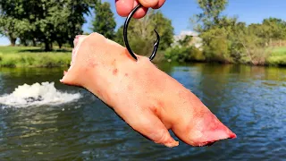 The WEIRDEST Bait I've EVER Used!!! (Fishing For POND MONSTERS!)